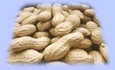 In-shell Peanuts